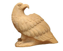 YANASE Hideo White-tailed eagle
